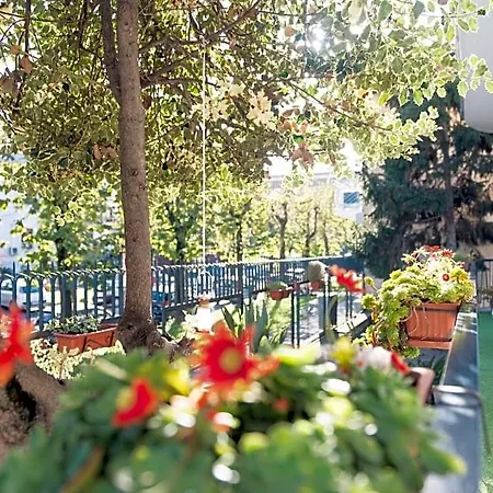 Bed & Breakfast Ardea Con Camino